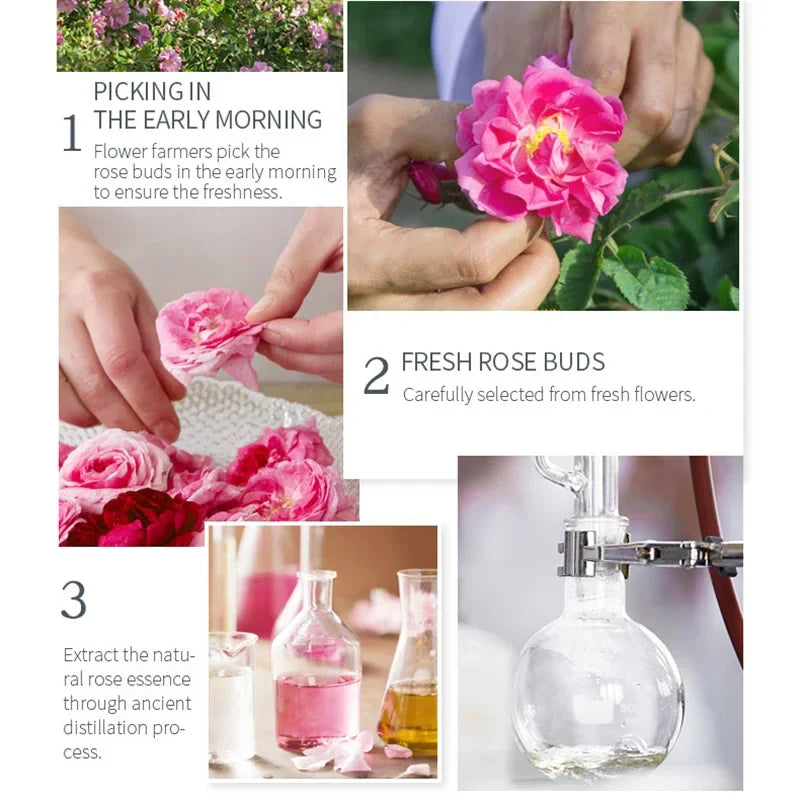Rose Glow Hydrating Toner